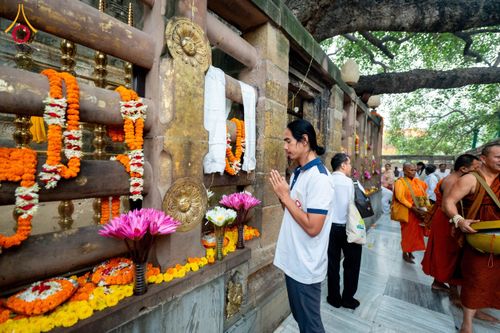 ภาพ No.176073:พิธีทอดผ้าป่าสมทบกฐิน ณ วัดพุทธคยา บานา วิหาร เมืองคยา รัฐพิหาร ประเทศอินเดีย โดยมูลนิธิธรรมกาย ในนามหลวงพ่อธัมมชโย  วันที่ 12 พฤศจิกายน พ.ศ. 2567