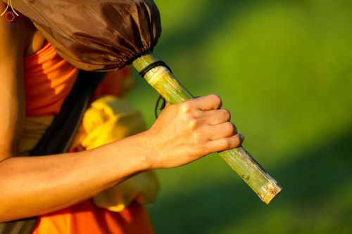 ภาพ No.104086:พิธีเดินธรรมยาตรา สามเณรธรรมทายาทชาวอินโดนีเซียกว่า 1,000 รูป ณ มหาเจดีย์บุโรพุทโธ ประเทศอินโดนีเซีย ในวันที่ 21 ธันวาคม พ.ศ. 2566