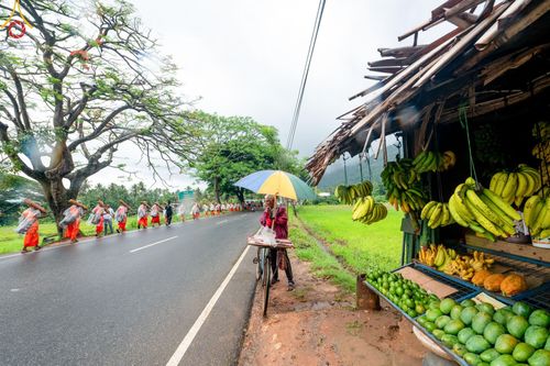 ภาพ No.140892:PhotoStory มหาศรัทธา ธรรมยาตราศรีลังกา EP.5 โครงการสยาม-ลังกา ธรรมยาตรา ฉลองเทศกาลวิสาขบูชาแห่งชาติ ศรีลังกา บูชาธรรม 80 ปีหลวงพ่อธัมมชโย เส้นทางจาก เมืองดัมบูลลา ไปยัง เมืองมาตะเล ตั้งแต่วันที่ 17-20 พฤษภาคม พ.ศ.2567