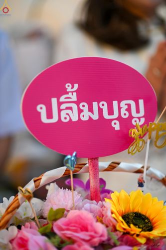 ภาพ No.295381:วันที่ 16 มกราคม พ.ศ. 2569 พิธีต้อนรับพระธรรมยาตรา อนุสรณ์สถานลำดับที่ 4 (ภาพชุดที่ 2) สถานที่เกิดด้วยกายธรรม ณ วัดโบสถ์บน ต.บางคูเวียง จ.นนทบุรี ในโครงการธรรมยาตรา กตัญญูบูชา มหาปูชนียาจารย์ พระมงคลเทพมุนี(สด จนฺทสโร) พระผู้ปราบมาร อนุสรณ์สถาน 7 แห่ง ปี