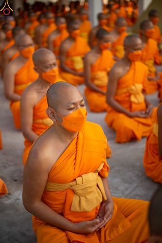 ภาพ No.74313:พุทธบุตรธรรมยาตรา ปฏิบัติธรรมและบันทึกภาพประวัติศาสตร์ ในโครงการธรรมยาตรากตัญญูบูชา มหาปูชนียาจารย์ พระมงคลเทพมุนี(สด จนฺทสโร) พระผู้ปราบมาร อนุสรณ์สถาน 7 แห่ง ปีที่ 11 ณ อนุสรณ์สถานลำดับที่ 6 สถานที่ค้นคว้าและเผยแผ่วิชาธรรมกาย วัดปากน้ำภาษีเจริญ กรุงเทพ