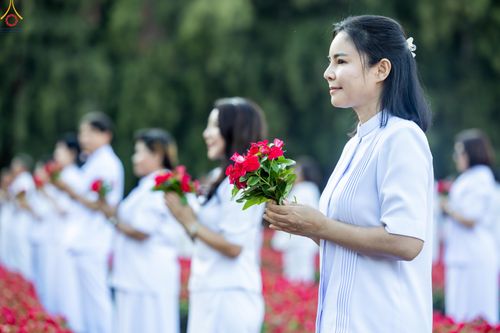 ภาพ No.280936:วันที่ 28 ธันวาคม พ.ศ.2568 กิจกรรมเก็บดอกแพงรวย ณ ทุ่งสวรรค์ตะวันฉาย วัดพระธรรมกาย