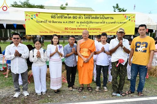 ภาพ No.148746:พิธีบุพเปตพลี, พิธีทอดผ้าป่า, พิธีไถ่ชีวิตโค 80 ตัว ให้ชีวิตสัตว์เป็นทาน ณ ศูนย์ปฎิบัติธรรมภาคใต้ อ.บางกล่ำ จ.สงขลา วันเสาร์ที่ 10 สิงหาคม พ.ศ. 2567