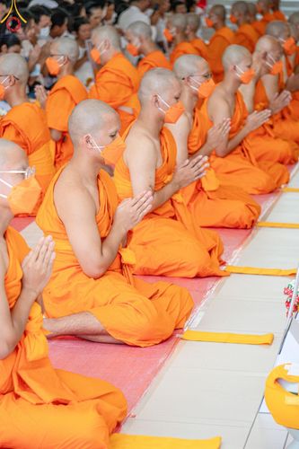 ภาพ No.141493:พิธีบรรพชาอุปสมบท โครงการอุปสมบทหมู่รุ่นผู้บริหาร รุ่นที่ 14 โครงการอุปสมบทหมู่ธรรมทายาท ระดับอุดมศึกษา รุ่นที่ 51 ภาคฤดูฝน ณ โบสถ์พระไตรปิฎก วัดพระธรรมกาย ในวันเสาร์ที่ 15 มิถุนายน พ.ศ. 2567