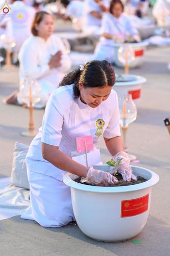 ภาพ No.253053:วันที่ 10 ตุลาคม พ.ศ. 2568 พิธีปลูกต้นทรัพย์บานชื่น ณ ลานธรรม วัดพระธรรมกาย