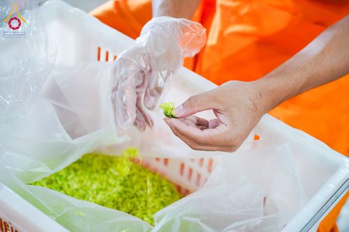 ภาพ No.279502:วันที่ 19-26 ธันวาคม พ.ศ. 2568 และ วันที่ 1 มกราคม พ.ศ.2569 รับบุญปลิดกลีบดอกไม้ เพื่อโปรยต้อนรับพระธรรมยาตรา