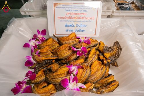 ภาพ No.293772:วันที่ 14 มกราคม พ.ศ. 2569  พิธีถวายภัตตาหารเป็นสังฆทาน แด่พระธรรมยาตรา  ณ วัดสองพี่น้อง ต.ต้นตาล อ.สองพี่น้อง จ.สุพรรณบุรี  ในโครงการธรรมยาตรา กตัญญูบูชา มหาปูชนียาจารย์  พระมงคลเทพมุนี(สด จนฺทสโร) พระผู้ปราบมาร  อนุสรณ์สถาน 7 แห่ง ปีที่ 14