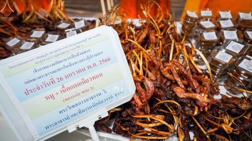 ภาพ No.74456:พิธีถวายภัตตาหารเป็นสังฆทาน แด่คณะพระธรรมยาตราฯ ในโครงการธรรมยาตรากตัญญูบูชา มหาปูชนียาจารย์ พระมงคลเทพมุนี(สด จนฺทสโร) พระผู้ปราบมาร อนุสรณ์สถาน 7 แห่ง ปีที่ 11 วันที่ 26 มกราคม พ.ศ. 2566