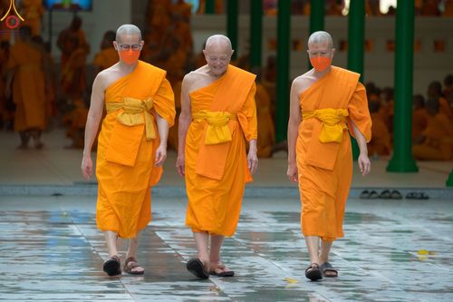 ภาพ No.84827:พิธีอธิษฐานพรรษา ของคณะสงฆ์ ในวันเข้าพรรษา แรม 1 ค่ำ เดือน 8 วันที่ 2 สิงหาคม พ.ศ. 2566 ณ โบสถ์พระไตรปิฎก วัดพระธรรมกาย ต.คลองสาม อ.คลองหลวง จ.ปทุมธานี