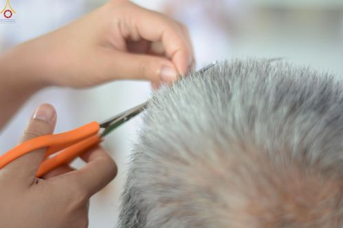 ภาพ No.248589:วันที่ 28 กันยายน พ.ศ. 2568 พิธีตัดปอยผม และปลงผม โครงการอุปสมบทบูชาธรรม 141 ปี พระมงคลเทพมุนี ณ วิหารคด วัดพระธรรมกาย