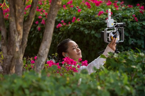 ภาพ No.113395:V.12 พลังหมู่ การเตรียมงาน เก็บงาน การรับบุญของเจ้าหน้าที่หน่วยงานต่างๆ เพื่อโครงการธรรมยาตรา ปีที่ 12 ระหว่างวันที่ 2 - 31 มกราคม พ.ศ. 2567