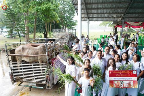 ภาพ No.152355:พิธีถวายมหาสังฆทานแด่พระภิกษุสงฆ์จำนวน 400 รูป ปีที่ 20 ณ ศูนย์อบรมเยาวชนผาสุกวนิช จ.ราชบุรี วันเสาร์ที่ 31 สิงหาคม พ.ศ. 2567