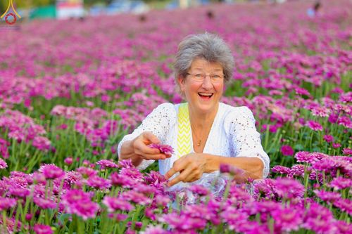 ภาพ No.102910:สาธุชนร่วมรับบุญเก็บดอกเบญจทรัพย์ ในวันที่ 19 ธันวาคม พ.ศ. 2566 (วันแรก) ณ บริเวณวัดพระธรรมกาย จ.ปทุมธานี