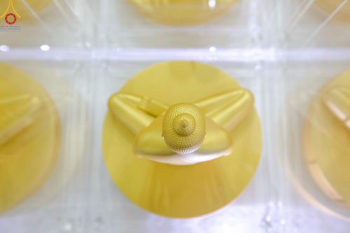 ภาพ No.159466:สัมมนาพิเศษและพิธีมอบองค์พระธรรมกาย 2,000 องค์ ณ ห้องแก้วสารพัดนึก 1 วัดพระธรรมกาย วันอาทิตย์ต้นเดือนที่ 6 ตุลาคม พ.ศ. 2567