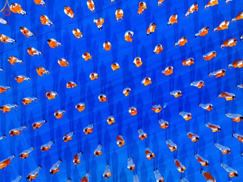 ภาพ No.77935:พิธีบรรพชาสามเณรหมู่ ณ ประเทศเนปาล วันที่ 16 มีนาคม พ.ศ. 2566