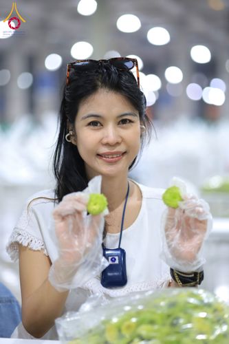 ภาพ No.303327:วันที่ 15-21 มกราคม พ.ศ.2569 ปลิดกลีบดอกเบญจทรัพย์ เพื่อโปรยต้อนรับพระธรรมยาตรา ในโครงการธรรมยาตรา กตัญญูบูชา มหาปูชนียาจารย์ พระมงคลเทพมุนี(สด จนฺทสโร) พระผู้ปราบมาร อนุสรณ์สถาน 7 แห่ง ปีที่ 14 ณ วิหารคด วัดพระธรรมกาย