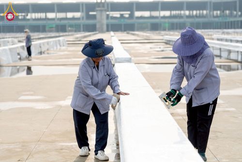 ภาพ No.217715:วันที่ 10-14 เมษายน พ.ศ. 2568 เจ้าหน้าที่อาสาสมัคร เตรียมงานวันคุ้มครองโลก ชุดที่ 2 วัดพระธรรมกาย จ.ปทุมธานี