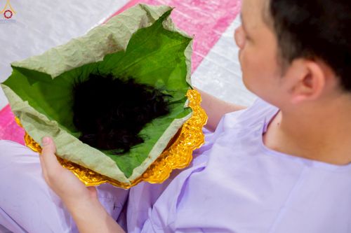 ภาพ No.228602:วันอังคารที่ 10 มิถุนายน พ.ศ. 2568 (วันพระ ขึ้น 15 ค่ำ เดือน 7) พิธีบุพเปตพลี ครั้งที่ 165 อุทิศบุญแด่หมู่ญาติที่ล่วงลับไปแล้ว และสืบทอดอายุพระพุทธศาสนา ณ หอฉันคุณยายอาจารย์ฯ วัดพระธรรมกาย