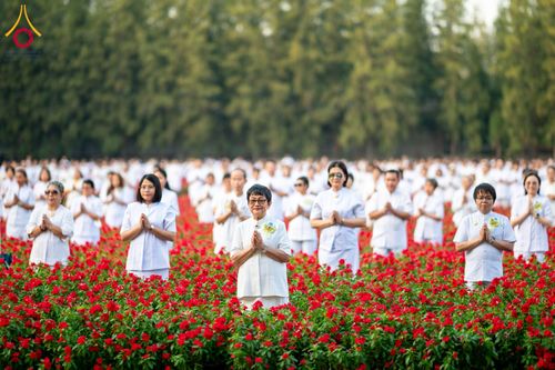 ภาพ No.185444:กิจกรรมเก็บดอกแพงรวย วันอาทิตย์ที่ 22 ธันวาคม พ.ศ. 2567 ณ ทุ่งสวรรค์ ตะวันฉาย วัดพระธรรมกาย