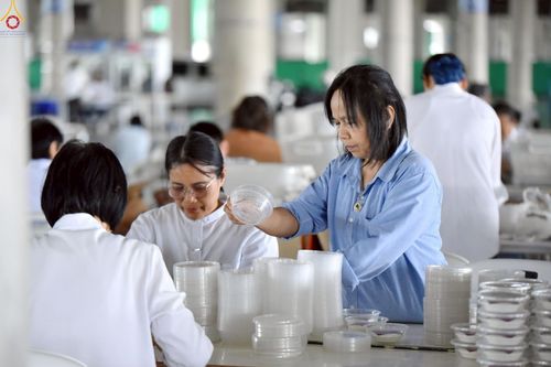 ภาพ No.239961:วันที่ 20-23 สิงหาคม พ.ศ. 2568 การเตรียมงานวันธรรมชัย ใส่ถ่านประทีป LED ที่วิหารคด 7 และ 25 วัดพระธรรมกาย