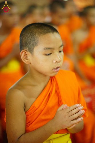 ภาพ No.144327:พิธีถวายเทียนพรรษา, พิธีสืบชะตาหลวง, พิธีถวายสังฆทาน และ พิธีถวายทุนการศึกษา บูชาธรรม ๘๐ ปี พระครูบาไชยบูลย์ ธัมมชโย วันจันทร์ที่ ๑๕ กรกฏาคม พ.ศ. ๒๕๖๗ ณ วัดราชฐานหลวงหัวข่วง เมืองเชียงตุง สาธารณรัฐแห่งสหภาพเมียนมาร์