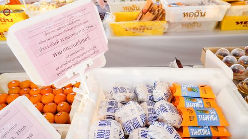 ภาพ No.73813:พิธีถวายภัตตาหารเป็นสังฆทาน แด่คณะพระธรรมยาตราฯ ในโครงการธรรมยาตรากตัญญูบูชา มหาปูชนียาจารย์ พระมงคลเทพมุนี(สด จนฺทสโร) พระผู้ปราบมาร อนุสรณ์สถาน 7 แห่ง ปีที่ 11 วันที่ 22 มกราคม พ.ศ. 2566