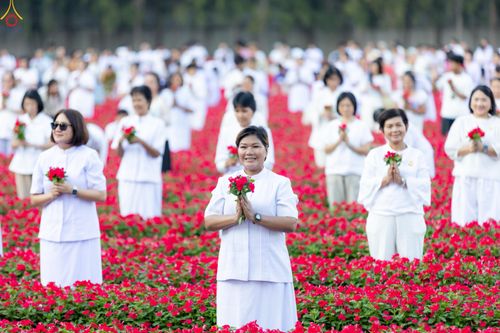 ภาพ No.280932:วันที่ 28 ธันวาคม พ.ศ.2568 กิจกรรมเก็บดอกแพงรวย ณ ทุ่งสวรรค์ตะวันฉาย วัดพระธรรมกาย