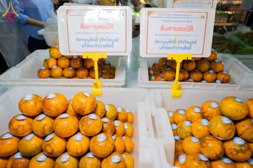 ภาพ No.299229:วันที่ 21 มกราคม พ.ศ. 2569 พิธีถวายภัตตาหารเป็นสังฆทาน แด่พระธรรมยาตรา ณ อนุสรณ์สถานบางปลา วัดบางปลา อำเภอบางเลน จังหวัดนครปฐม ในโครงการธรรมยาตรา กตัญญูบูชา มหาปูชนียาจารย์ พระมงคลเทพมุนี(สด จนฺทสโร) พระผู้ปราบมาร อนุสรณ์สถาน 7 แห่ง ปีที่ 14