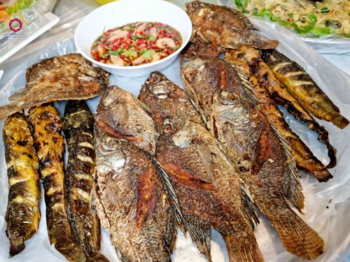 ภาพ No.121295:พิธีถวายภัตตาหารเป็นสังฆทาน แด่คณะพระธรรมยาตราฯ ในโครงการธรรมยาตรากตัญญูบูชา มหาปูชนียาจารย์ พระมงคลเทพมุนี(สด จนฺทสโร) พระผู้ปราบมาร อนุสรณ์สถาน 7 แห่ง ปีที่ 12 วันที่ 30 มกราคม พ.ศ. 2567 ณ สภาธรรมกายสากล วัดพระธรรมกาย