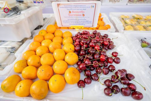 ภาพ No.295607:วันที่ 16 มกราคม พ.ศ. 2569 พิธีถวายภัตตาหารเป็นสังฆทาน แด่พระธรรมยาตรา ณ วัดโบสถ์บน ต.บางคูเวียง จ.นนทบุรี อนุสรณ์สถานลำดับที่ 4 สถานที่เกิดด้วยกายธรรม ในโครงการธรรมยาตรา กตัญญูบูชา มหาปูชนียาจารย์ พระมงคลเทพมุนี(สด จนฺทสโร) พระผู้ปราบมาร อนุสรณ์สถาน 7 แ