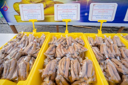 ภาพ No.299274:วันที่ 21 มกราคม พ.ศ. 2569 พิธีถวายภัตตาหารเป็นสังฆทาน แด่พระธรรมยาตรา ณ อนุสรณ์สถานบางปลา วัดบางปลา อำเภอบางเลน จังหวัดนครปฐม ในโครงการธรรมยาตรา กตัญญูบูชา มหาปูชนียาจารย์ พระมงคลเทพมุนี(สด จนฺทสโร) พระผู้ปราบมาร อนุสรณ์สถาน 7 แห่ง ปีที่ 14