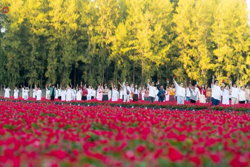 ภาพ No.280958:วันที่ 28 ธันวาคม พ.ศ.2568 กิจกรรมเก็บดอกแพงรวย ณ ทุ่งสวรรค์ตะวันฉาย วัดพระธรรมกาย