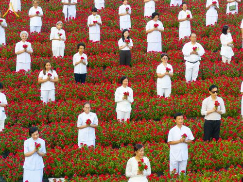 ภาพ No.185472:กิจกรรมเก็บดอกแพงรวย วันอาทิตย์ที่ 22 ธันวาคม พ.ศ. 2567 ณ ทุ่งสวรรค์ ตะวันฉาย วัดพระธรรมกาย