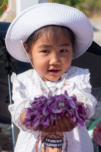 ภาพ No.206086:HAPPY FACE @ธรรมยาตรา # 1 ในโครงการธรรมยาตรา กตัญญูบูชา มหาปูชนียาจารย์ พระมงคลเทพมุนี(สด จนฺทสโร) พระผู้ปราบมาร อนุสรณ์สถาน 7 แห่ง ปีที่ 13 ระหว่างวันที่ 2-31 มกราคม พ.ศ. 2568