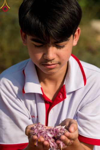 ภาพ No.107867:พิธีต้อนรับพระธรรมยาตรา ในโครงการธรรมยาตรากตัญญูบูชา มหาปูชนียาจารย์ พระมงคลเทพมุนี(สด จนฺทสโร) พระผู้ปราบมาร อนุสรณ์สถาน 7 แห่ง ปีที่ 12 วันที่ 7 มกราคม พ.ศ. 2567 ณ อนุสรณ์สถานคลองบางนางแท่น  อ.สามพราน จ.นครปฐม