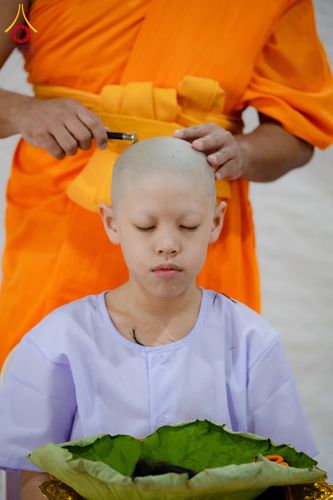 ภาพ No.143826:พิธีปลงผมยุวธรรมทายาท โครงการสามเณรโรงเรียนนานาชาติ รุ่นที่  13 ณ วิหารคด คอร์ 9 วัดพระธรรมกาย วันอาทิตย์ที่ 7 กรกฎาคม พ.ศ. 2567