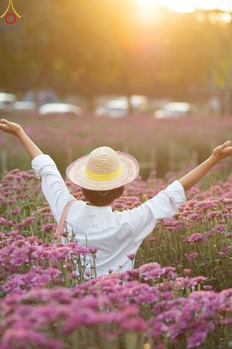 ภาพ No.102927:สาธุชนร่วมรับบุญเก็บดอกเบญจทรัพย์ ในวันที่ 19 ธันวาคม พ.ศ. 2566 (วันแรก) ณ บริเวณวัดพระธรรมกาย จ.ปทุมธานี