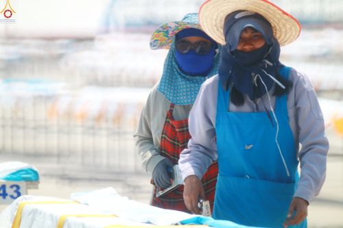 ภาพ No.321966:วันที่ 11-12 เมษายน พ.ศ.2569 การเตรียมงาน มัดถุงน้ำ , ผูกผ้าระบาย , เตรียมจุดฉันภัตตาหาร เพื่องานถวายมหาสังฆทาน 40,000 กว่าวัดทั่วประเทศ วันคุ้มครองโลก 22 เมษายน พ.ศ.2569 วัดพระธรรมกาย