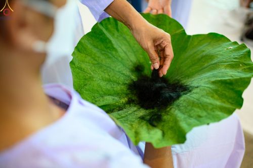 ภาพ No.63600:พิธีปลงผมนาคธรรมทายาท โครงการอุปสมบทบูชาธรรม มหาปูชนียาจารย์ประจำปี 2565 วันที่ 19 พฤศจิกายน พ.ศ. 2565 ณ สภาธรรมกายสากล วัดพระธรรมกาย