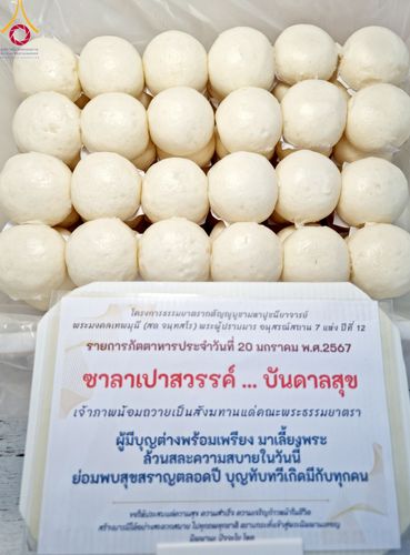 ภาพ No.115720:พิธีถวายภัตตาหารเป็นสังฆทาน แด่คณะพระธรรมยาตรา ปีที่ 12 วันที่ 20 มกราคม พ.ศ. 2567 ณ วัดโบสถ์(บน) บางคูเวียง จ.นนทบุรี