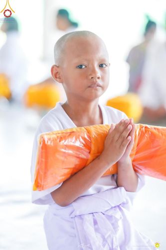 ภาพ No.161549:โครงการบรรพชาสามเณรภาคฤดูฝน รุ่นที่ 14 วันเสาร์ที่ 12 ตุลาคม พ.ศ. 2567  ณ ศูนย์ปฏิบัติธรรมสวนผึ้ง จังหวัดราชบุรี