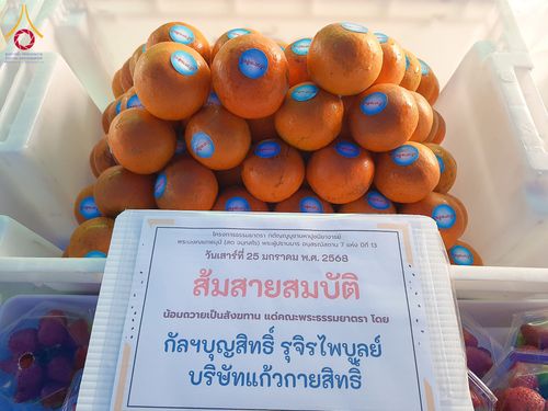 ภาพ No.201517:พิธีถวายภัตตาหารเป็นสังฆทาน แด่พระธรรมยาตรา ณ อนุสรณ์สถานบางปลา วัดบางปลา อำเภอบางเลน จังหวัดนครปฐม ในโครงการธรรมยาตรา กตัญญูบูชา มหาปูชนียาจารย์ พระมงคลเทพมุนี(สด จนฺทสโร) พระผู้ปราบมาร อนุสรณ์สถาน 7 แห่ง ปีที่ 13 วันที่ 25 มกราคม พ.ศ. 2568
