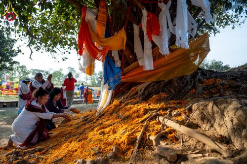 ภาพ No.132124:พิธีต้อนรับ พระ-สามเณร ธรรมยาตรา ในโครงการบรรพชา 1,250 รูป ณ แดนประสูติ สวนลุมพินี ประเทศเนปาล วันที่ 16-17 มีนาคม พ.ศ. 2567