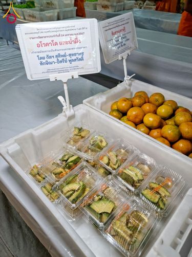 ภาพ No.118127:พิธีถวายภัตตาหารเป็นสังฆทาน แด่คณะพระธรรมยาตรา ปีที่ 12 วันที่ 24 มกราคม พ.ศ. 2567 ณ อนุสรณ์สถานบางนางแท่น จ.นครปฐม