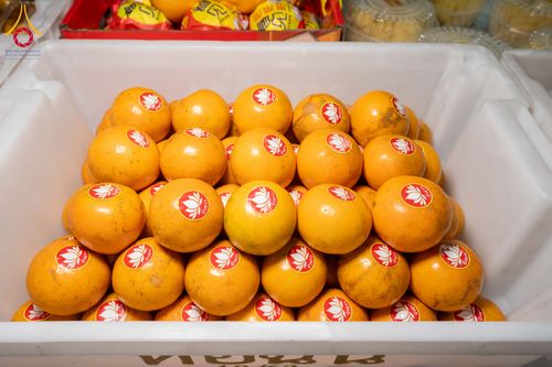 ภาพ No.301115:วันที่ 23 มกราคม พ.ศ. 2569 พิธีถวายภัตตาหารเป็นสังฆทาน แด่พระธรรมยาตรา ณ อนุสรณ์สถานบางปลา วัดบางปลา อำเภอบางเลน จังหวัดนครปฐม ในโครงการธรรมยาตรา กตัญญูบูชา มหาปูชนียาจารย์ พระมงคลเทพมุนี(สด จนฺทสโร) พระผู้ปราบมาร อนุสรณ์สถาน 7 แห่ง ปีที่ 14