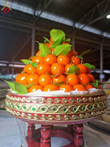 ภาพ No.203268:พิธีถวายภัตตาหารเป็นสังฆทาน แด่พระธรรมยาตรา ณ วัดพระธรรมกาย ตำบลคลองสาม อำเภอคลองหลวง จังหวัดปทุมธานี ในโครงการธรรมยาตรา กตัญญูบูชา มหาปูชนียาจารย์ พระมงคลเทพมุนี(สด จนฺทสโร) พระผู้ปราบมาร อนุสรณ์สถาน 7 แห่ง ปีที่ 13 วันที่ 29 มกราคม พ.ศ. 2568