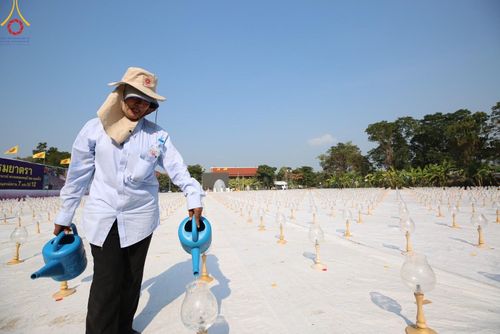 ภาพ No.112524:V.11 สามารถ การเตรียมงาน เก็บงาน การรับบุญของเจ้าหน้าที่หน่วยงานต่างๆ เพื่อโครงการธรรมยาตรา กตัญญูบูชา มหาปูชนียาจารย์ พระมงคลเทพมุนี (สด จนฺทสโร) พระผู้ปราบมาร อนุสรณ์สถาน 7 แห่ง ปีที่ 12 ระหว่างวันที่ 2 - 31 มกราคม พ.ศ.2567