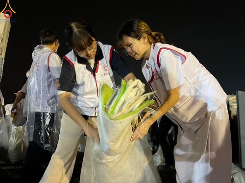 ภาพ No.119459:V.18 ทันทีม การเตรียมงาน เก็บงาน การรับบุญของเจ้าหน้าที่หน่วยงานต่างๆ เพื่อโครงการธรรมยาตรา กตัญญูบูชามหาปูชนียาจารย์ พระมงคลเทพมุนี (สด จนฺทสโร) พระผู้ปราบมาร อนุสรณ์สถาน 7 แห่ง ปีที่ 12 ระหว่างวันที่ 2 - 31 มกราคม พ.ศ.2567