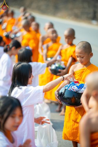 ภาพ No.62295:Photo Story  มหัศจรรย์วัดดงดินแดง Episode 4 กิจกรรมตักบาตรฉลองพระ-เณรกว่า 500 รูป