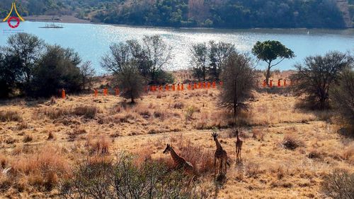 ภาพ No.232884:วันที่ 1 กรกฏาคม พ.ศ. 2568 Dhammayatra in South Africa 2025 ธรรมยาตราแอฟริกาใต้ — เส้นทางแห่งสติ สมาธิ และปัญญา ธรรมทายาทที่ได้อบรมโครงการบรรพชาอุปสมบทหมู่ครั้งที่ 2 ณ วัดพระธรรมกายโจฮันเนสเบิร์ก ประเทศแอฟริกาใต้